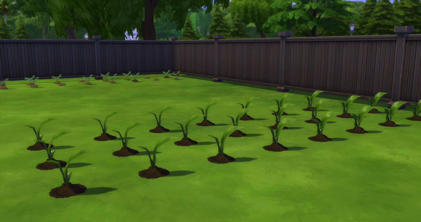 My_Wife_Bella_Episode_002_03.png