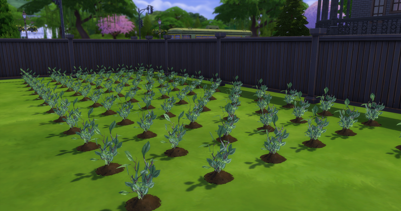 My_Wife_Bella_Episode_002_04.png