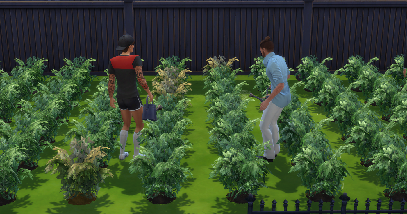 My_Wife_Bella_Episode_002_19.png