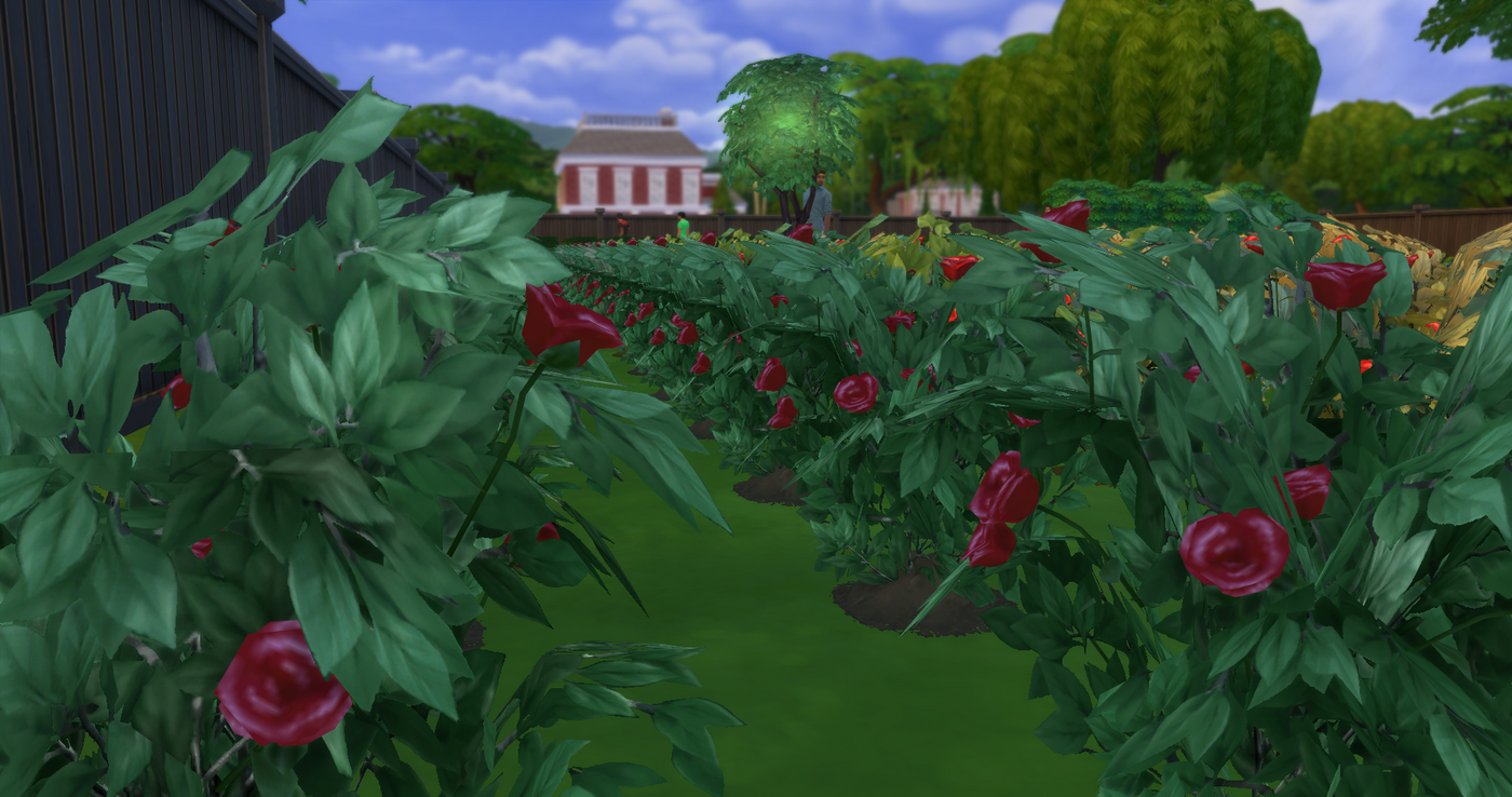 My_Wife_Bella_Episode_002_23.png