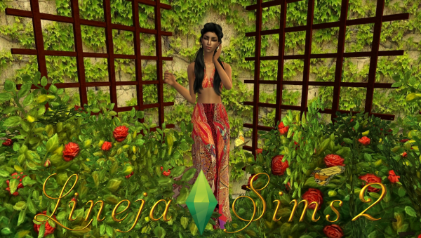 Латифа Умар (Latifa Umar)