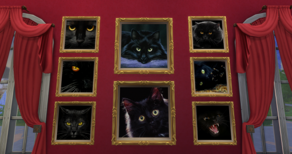 Картина Чёрный кот (The Black Cat)