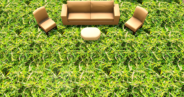 Трава Летнее настроение (Grass Summer mood)