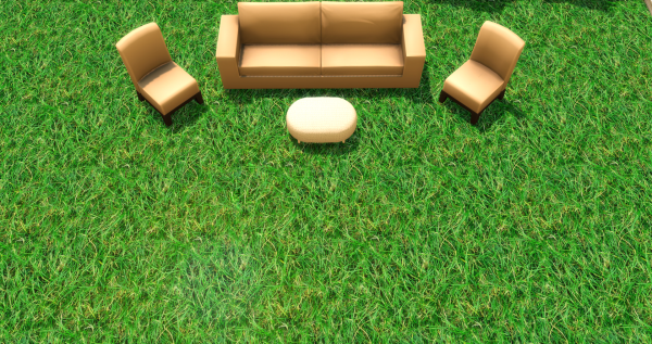 Трава Летнее настроение (Grass Summer mood)