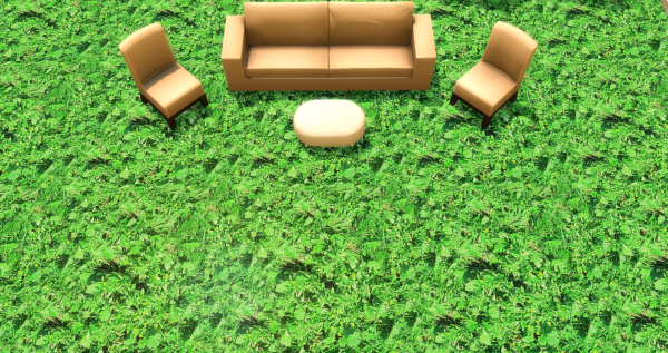 Трава Летнее настроение (Grass Summer mood)