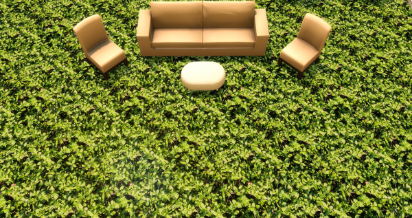 Трава Летнее настроение (Grass Summer mood)