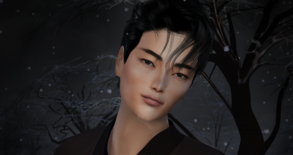 Sims 4 - Мужчины (Male)