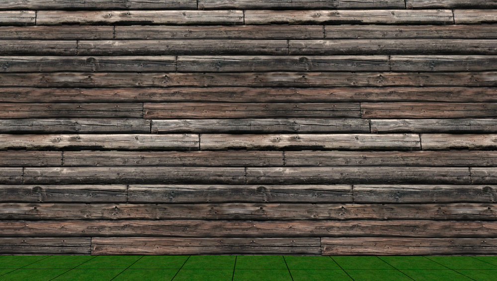 LinejaSims2_Wall_0003.png