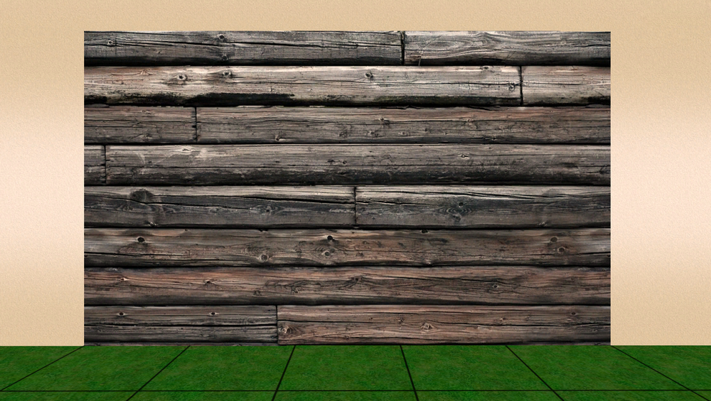 LinejaSims2_Wall_0005.png