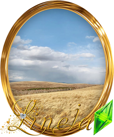 LinejaSims2_Wall_0001.png