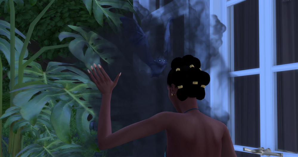 00278.png