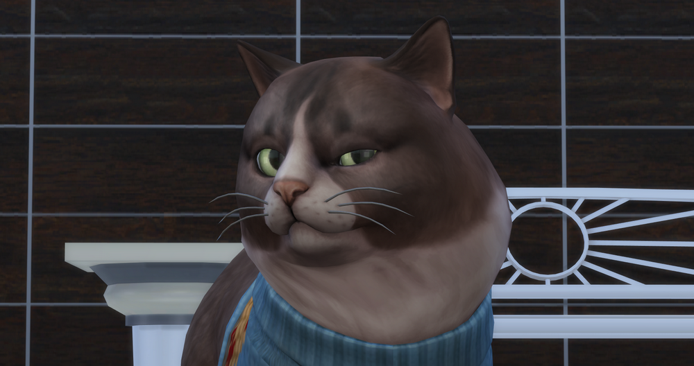 00287.png