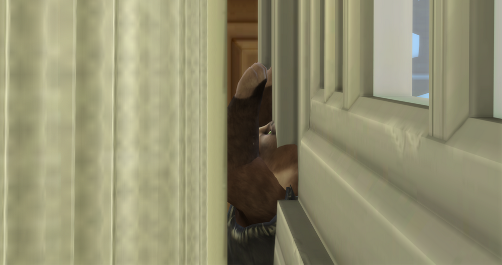 00295.png