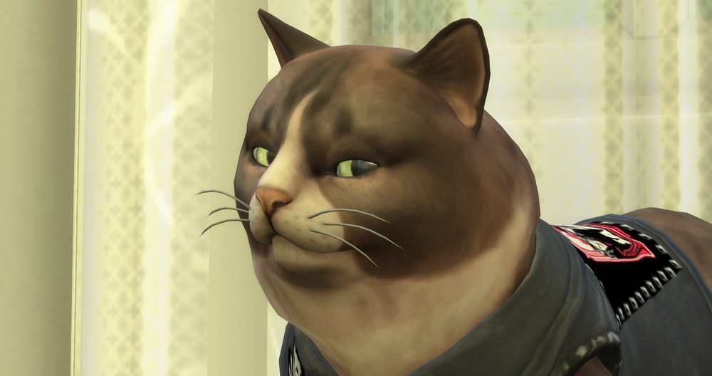 00299.png