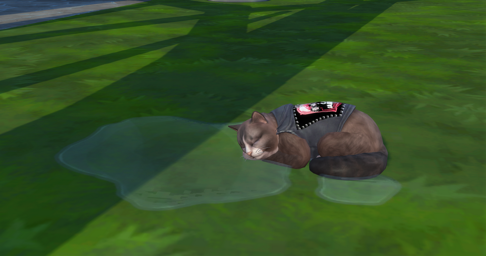 00305.png