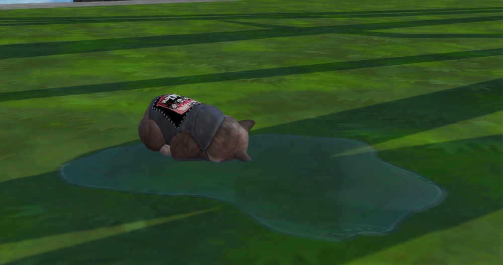 00306.png