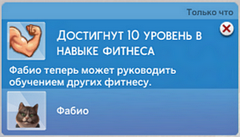 00308.png