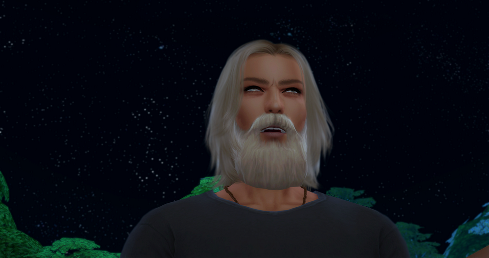 00314.png
