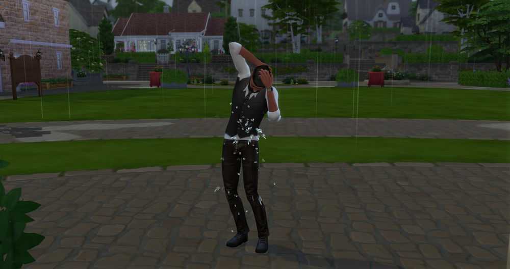 00397.png