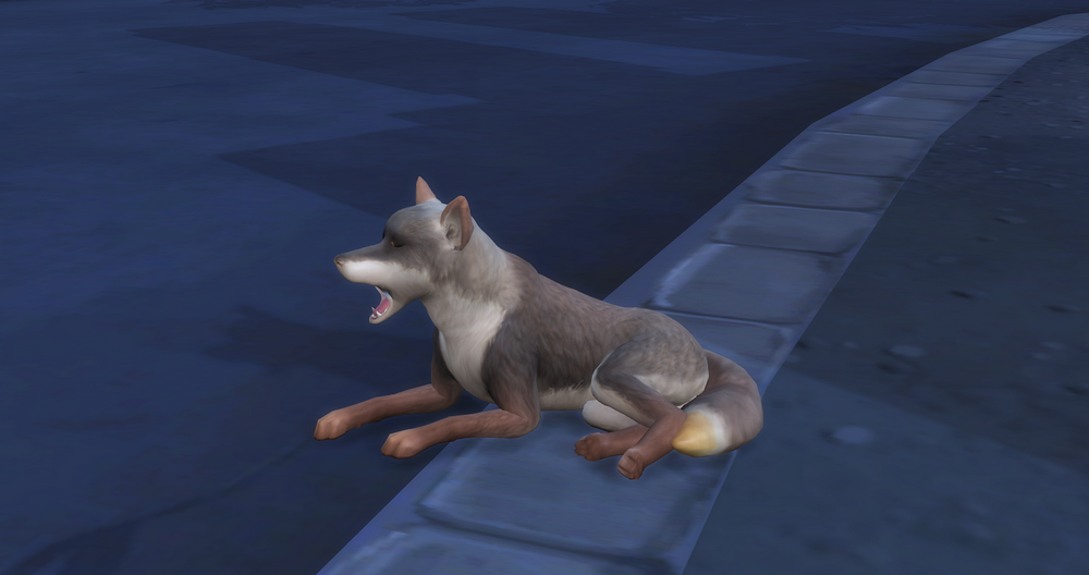 01208.png