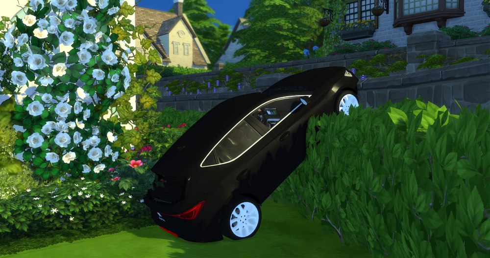 01269.png