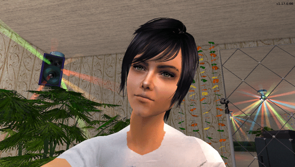 00038.gif