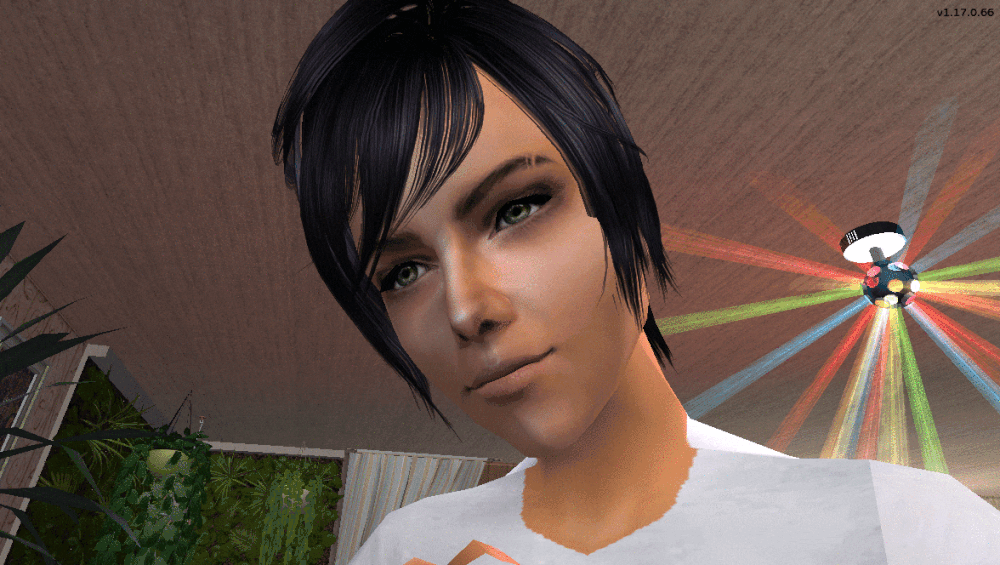 00039.gif