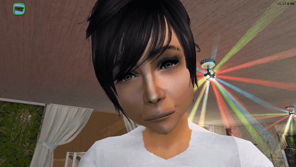 00045.gif
